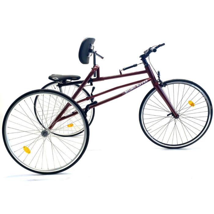 by connnie hansen Storm Runner Elite Competition Frame Runner