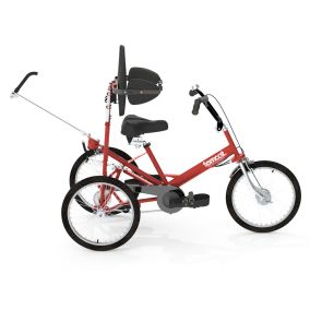 Tomcat Tamara Trike