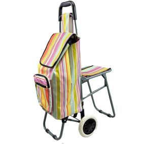 Lightweight Shopping Trolley with Seat