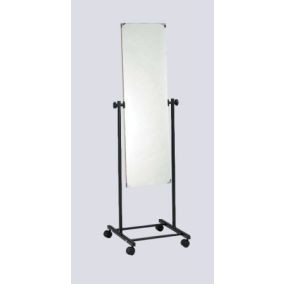 Mobile Posture Mirror